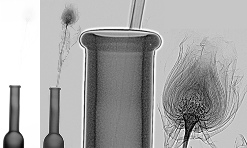 RadalyX imaging system